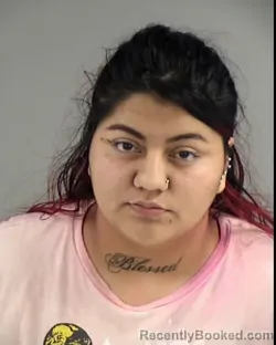 Mugshot of VANESSA A DIAZ DUENAS booked in Henrico County, Virginia on March 13, 2026