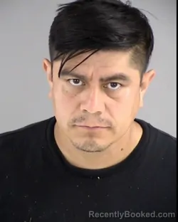 Mugshot of RIGOBERTO REYES MARTINEZ