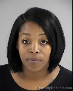 Mugshot of JAMIYLAH CHAEVONNE JEFFRIES booked in Henrico County, Virginia on March 13, 2026