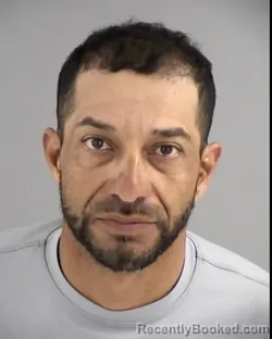 Booking photo from Henrico County, Virginia