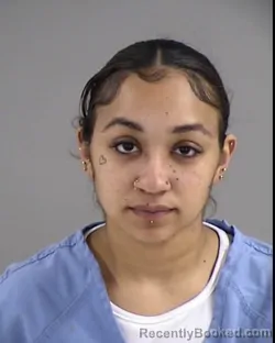 Mugshot of TEONDRIA MARIE SKINNER