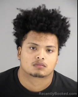 Mugshot of CARLOS ROBERTO DIAZ ROMERO