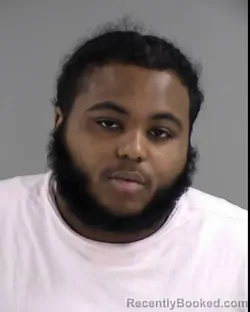 Booking photo from Henrico County, Virginia