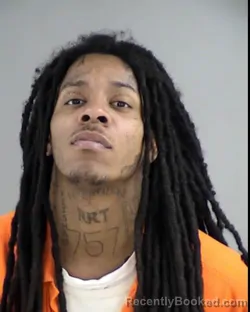 Booking photo from Henrico County, Virginia