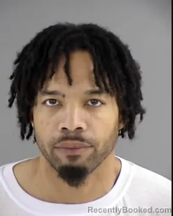 Booking photo from Henrico County, Virginia