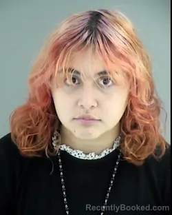 Mugshot of MADALYN ELIZABETH LIKENS