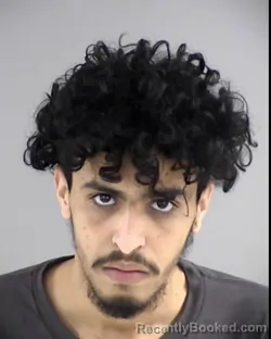 Mugshot of CHEBANE NAJI DEDDE