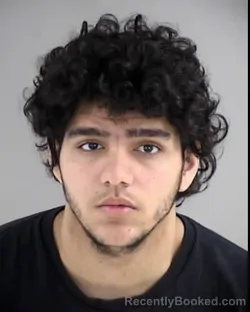 Mugshot of JOSEPH MICHAEL WENGRAITIS