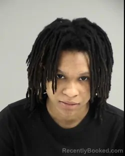 Mugshot of JAMYA SHANAE WILLIAMS