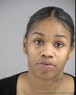 Booking photo from Henrico County, Virginia