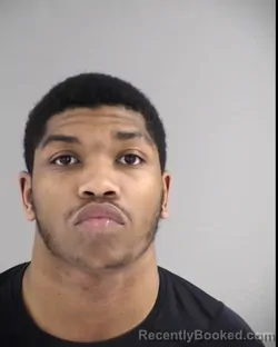 Booking photo from Henrico County, Virginia