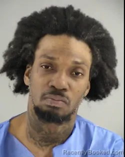 Booking photo from Henrico County, Virginia