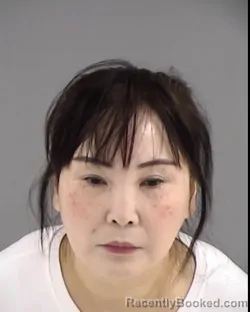 Mugshot of FENG XIAN YANG