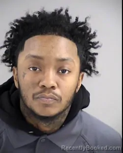 Mugshot of ARE YAHNA ALANDA WASHINGTON booked in Henrico County, Virginia on March 13, 2026