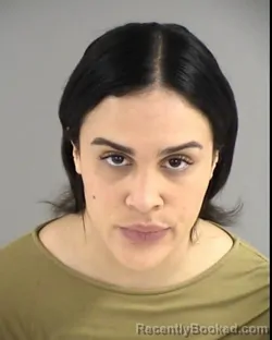 Mugshot of KELEIGH RENEE RICHARDSON