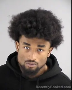 Mugshot of JOEY LEE ADAMS