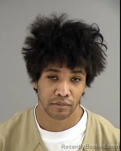 Booking photo from Henrico County, Virginia
