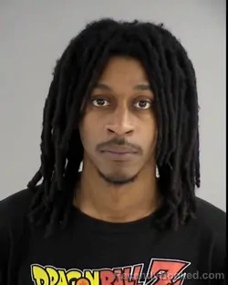 Mugshot of NYKARI LISEAN ROBINSON booked in Henrico County, Virginia on March 12, 2026