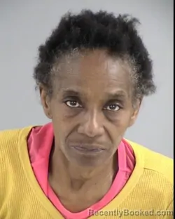 Mugshot of DORIS ANNE POWELL booked in Henrico County, Virginia on March 13, 2026