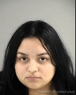 Mugshot of JEYDI R FLORES REYES