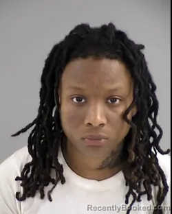 Mugshot of LANDJRIYA ROSETTA WILKINS booked in Henrico County, Virginia on March 16, 2026