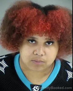 Mugshot of NEVAEH GLORIA SANDRA FLEMING booked in Henrico County, Virginia on March 24, 2026