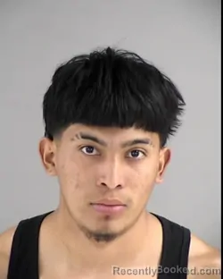 Mugshot of JOSE ADONAY RAMOS RAMOS