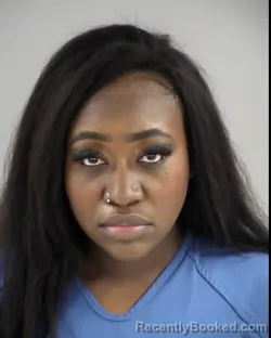Mugshot of SANDRAYAS MARIE PETTAWAY