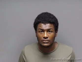 Mugshot of MICHAEL WOODS WATSON booked in Henrico County, Virginia on July 13, 2026