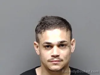 Mugshot of DOMINIQUE NICHOLSON booked in Henrico County, Virginia on July 21, 2026