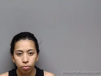 Mugshot of Ana Karina Villegas Molina booked in Henrico County, Virginia on August 16, 2026