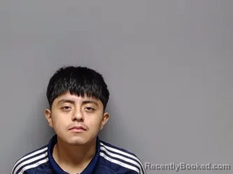 Mugshot of Alexis Hernandez Montealegre booked in Henrico County, Virginia on August 17, 2026