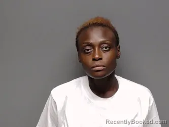 Mugshot of Destanee J Johnson booked in Henrico County, Virginia on September 1, 2026