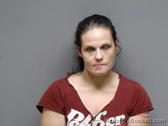 Mugshot of Tammy Leanne Perkins booked in Henrico County, Virginia on September 5, 2026