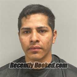 Booking photo from Henry County, Virginia