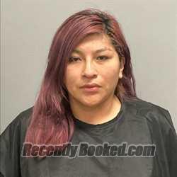 Booking photo from Henry County, Virginia