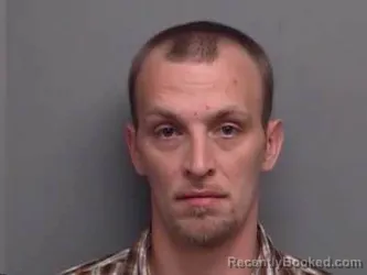 Mugshot of BRANDON LEE ANDERSON