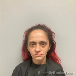 Mugshot of Crystal Renee Lockhart booked in Henry County, Virginia on September 14, 2026