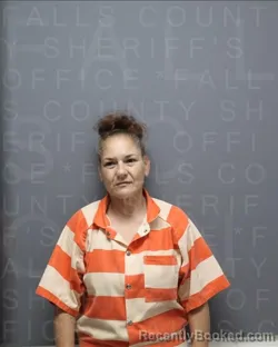 Mugshot of MELISA WALLACE