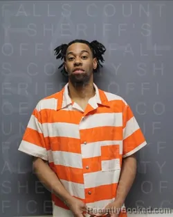 Mugshot of TERRELL LOWE