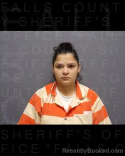 Mugshot of MARIELA MARTINEZ