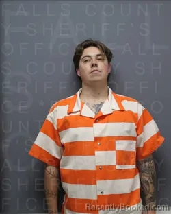 Mugshot of DYLAN YORK