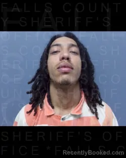 Mugshot of JAMES LEWIS