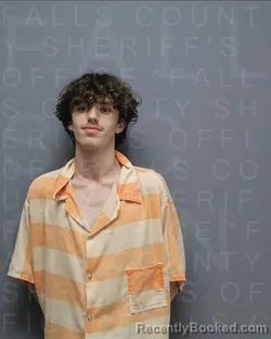 Mugshot of JAYDIN WOOLEY