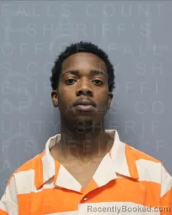 Mugshot of ZALEE SHERMAINE BRIGHT booked in Falls County, Texas on March 31, 2026