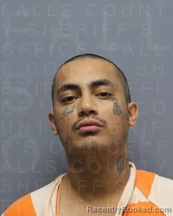 Mugshot of TRICE EDGAR TAYLOR booked in Falls County, Texas on April 14, 2026