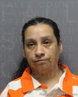 Mugshot of Valentine Medrano booked in Falls County, Texas on August 11, 2026