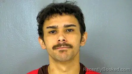 Mugshot of ADONIS ROMANE BELLINGER booked in James City County, Virginia on July 30, 2026
