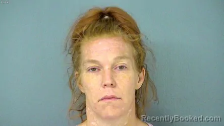 Mugshot of ANGELA ANN GAIDOWSKI