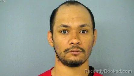 Booking photo from James City County, Virginia